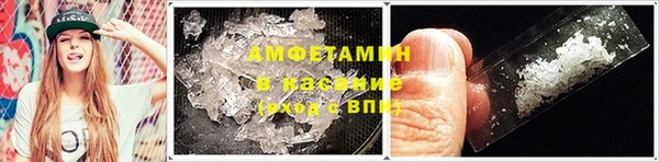 прущий лед Нея