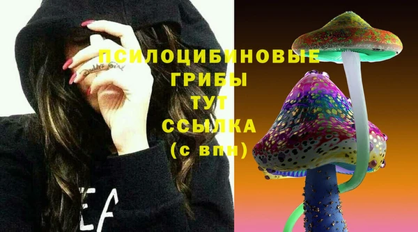 дживик Нефтегорск