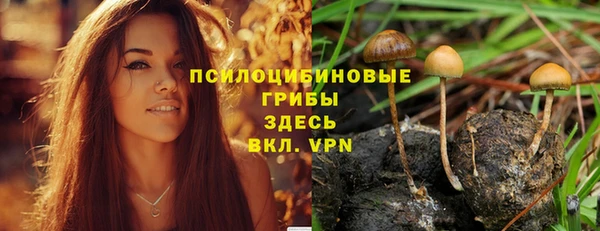 прущий лед Нея