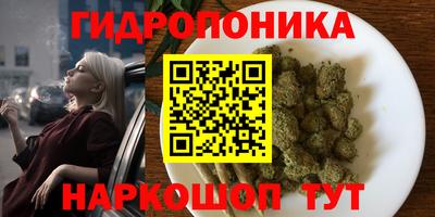 трава Беслан