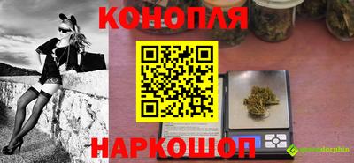 гидра Берёзовский
