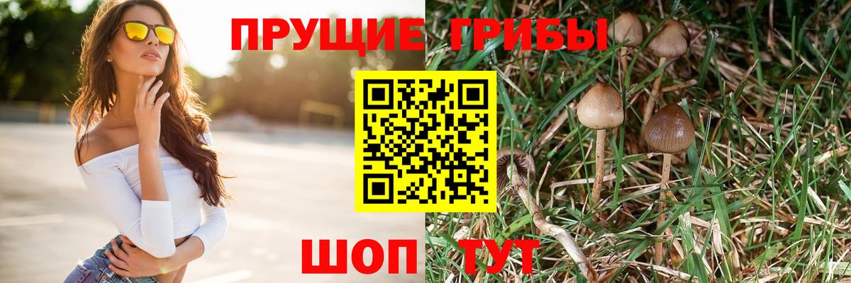 Псилоцибиновые грибы ЛСД  Тольятти 