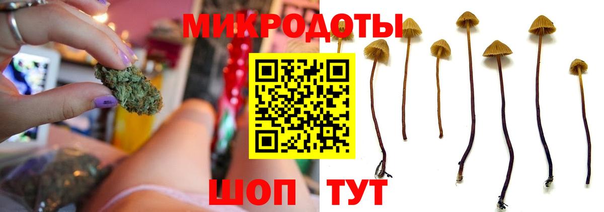 Галлюциногенные грибы MAGIC MUSHROOMS Тольятти